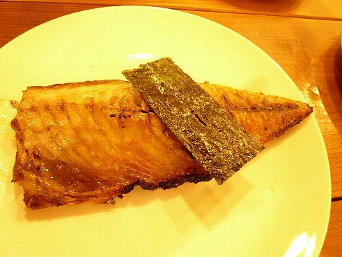 売り物のような立派な姿ですが、塩釜で釣った鯖です